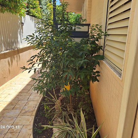 Hotel הבית הירוק Carmiel Exterior foto
