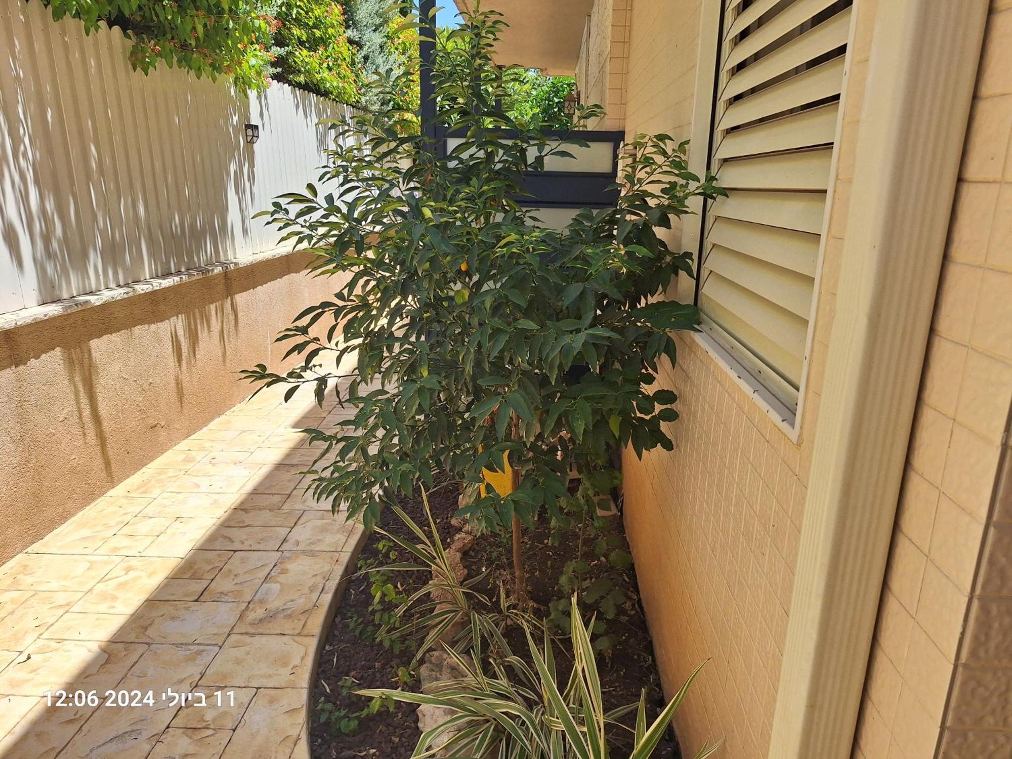 Hotel הבית הירוק Carmiel Exterior foto